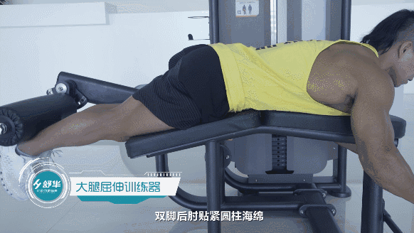 健身器材 健身器材