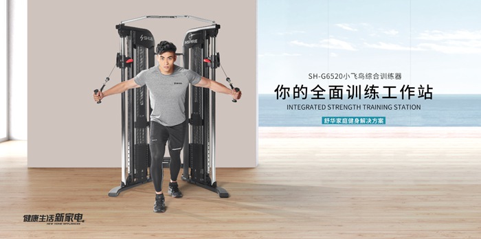 星空xk健身器材-小飞鸟综合训练器SH-G6520 星空xk健身器材-小飞鸟综合训练器SH-G6520